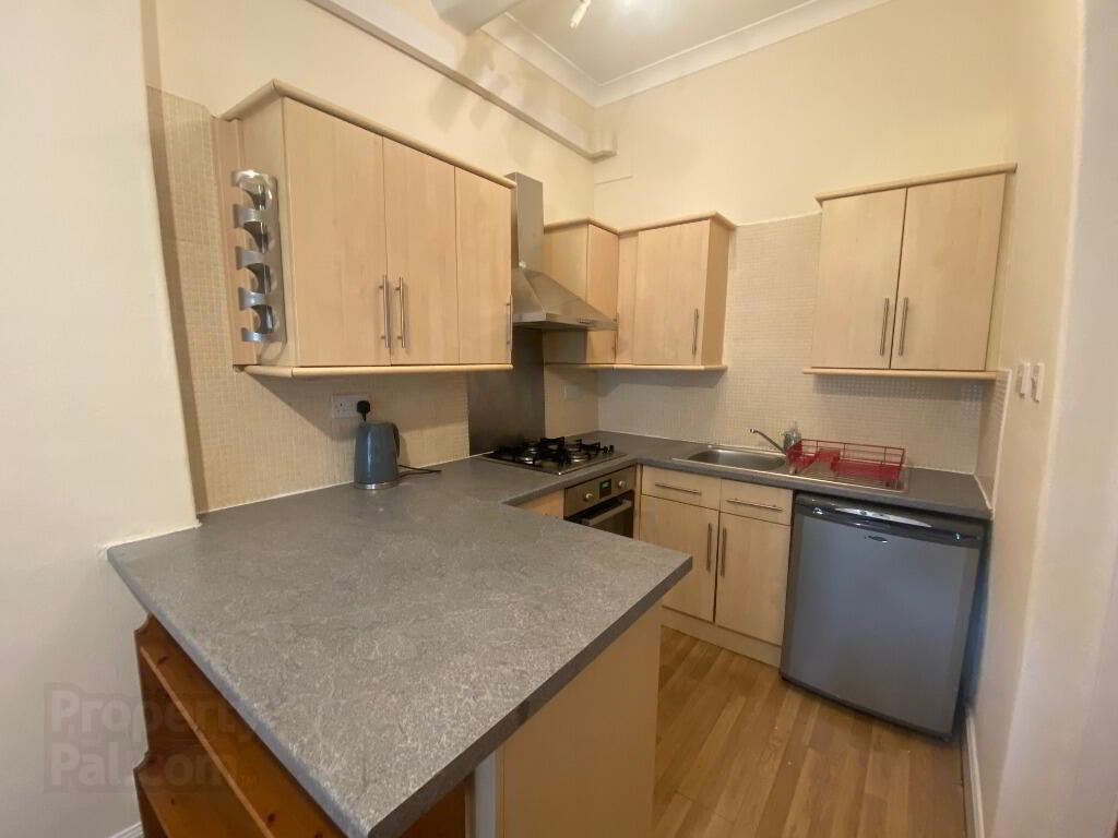 25 Balcarres Street 6 of 10