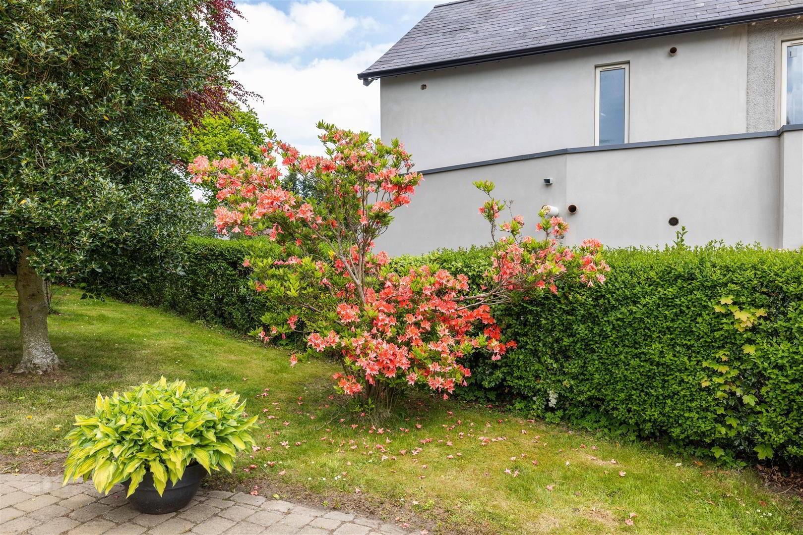 29 Newry Road 69 of 77