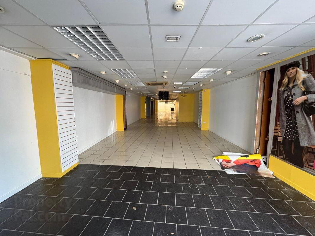 13 Kingsgate Street 3 of 12