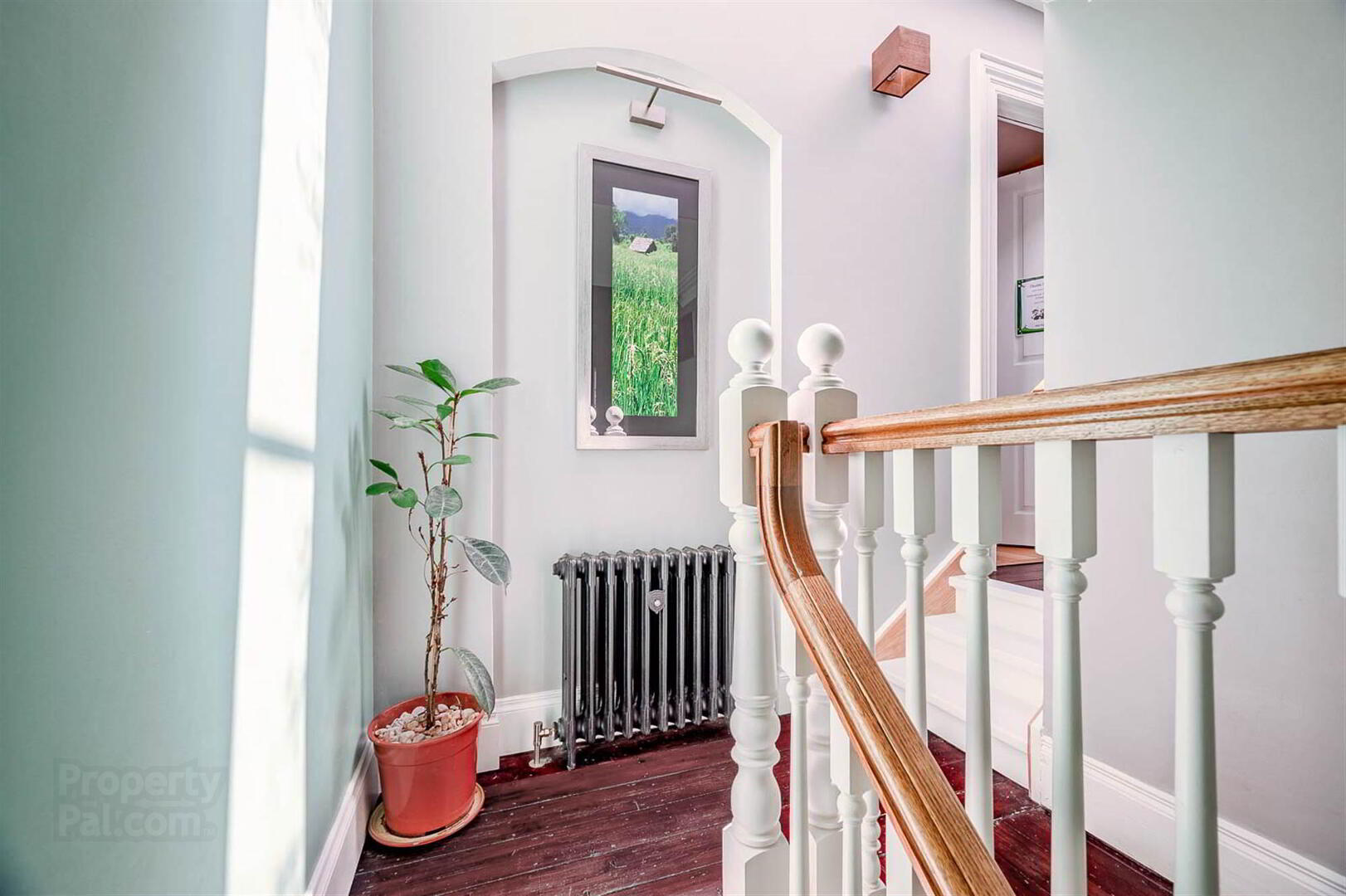 56 Sandown Road 14 of 25
