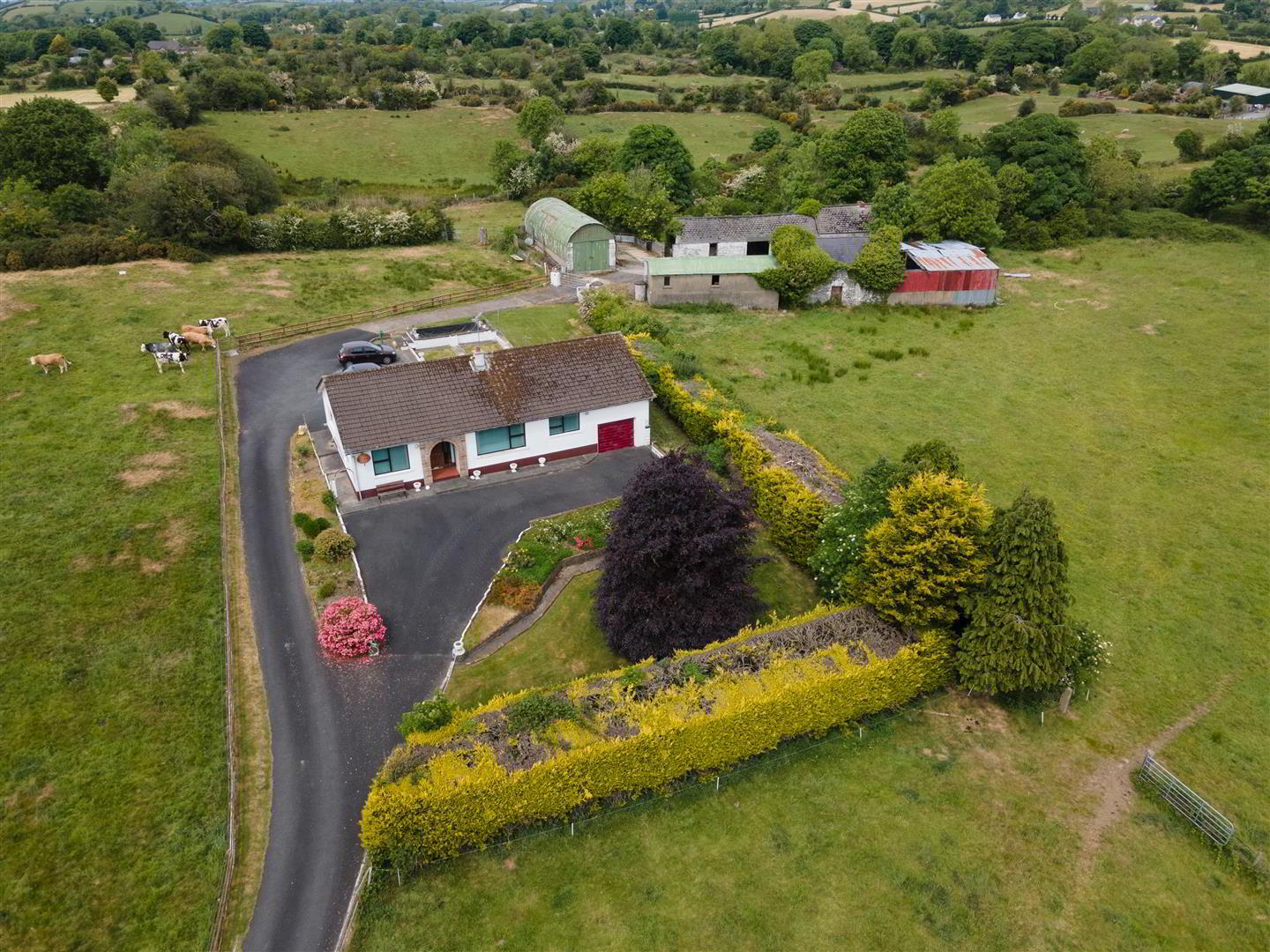 81 Lisburn Road 24 of 31