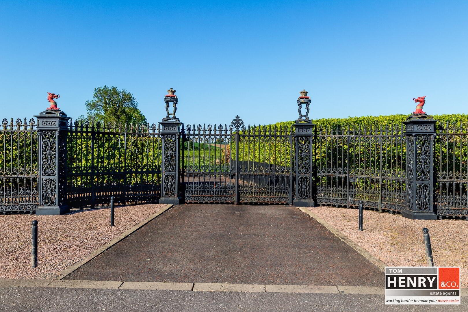40 Charlemont Street 3 of 53