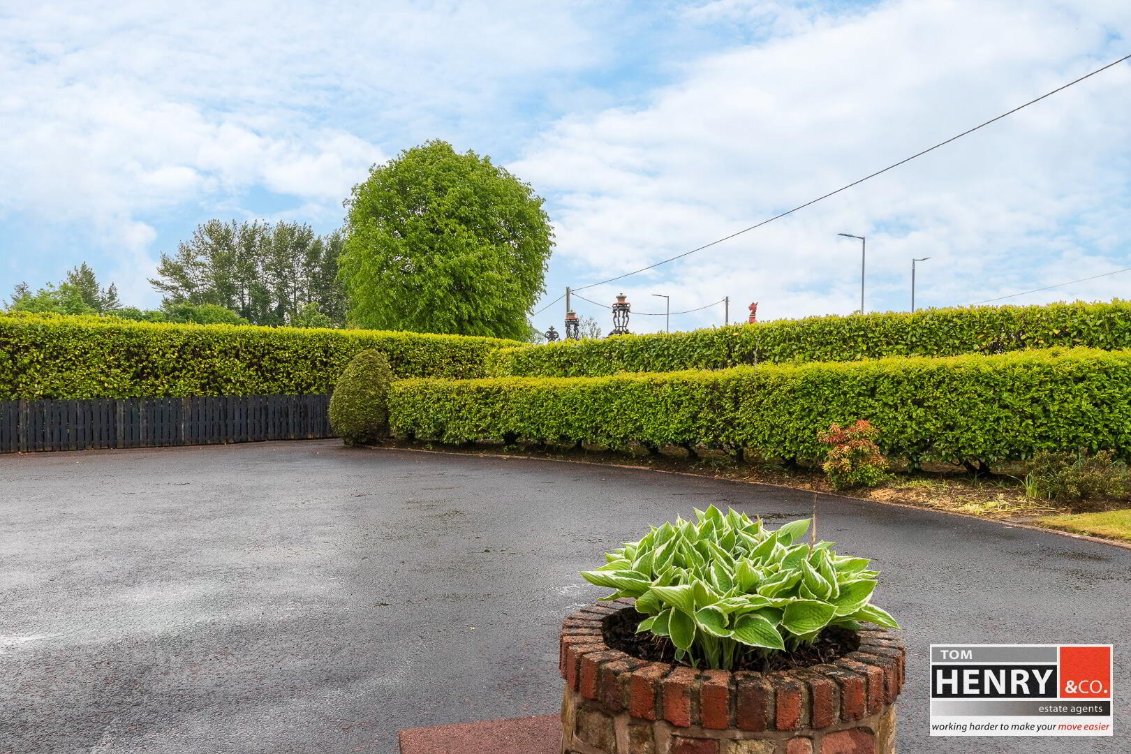 40 Charlemont Street 43 of 53