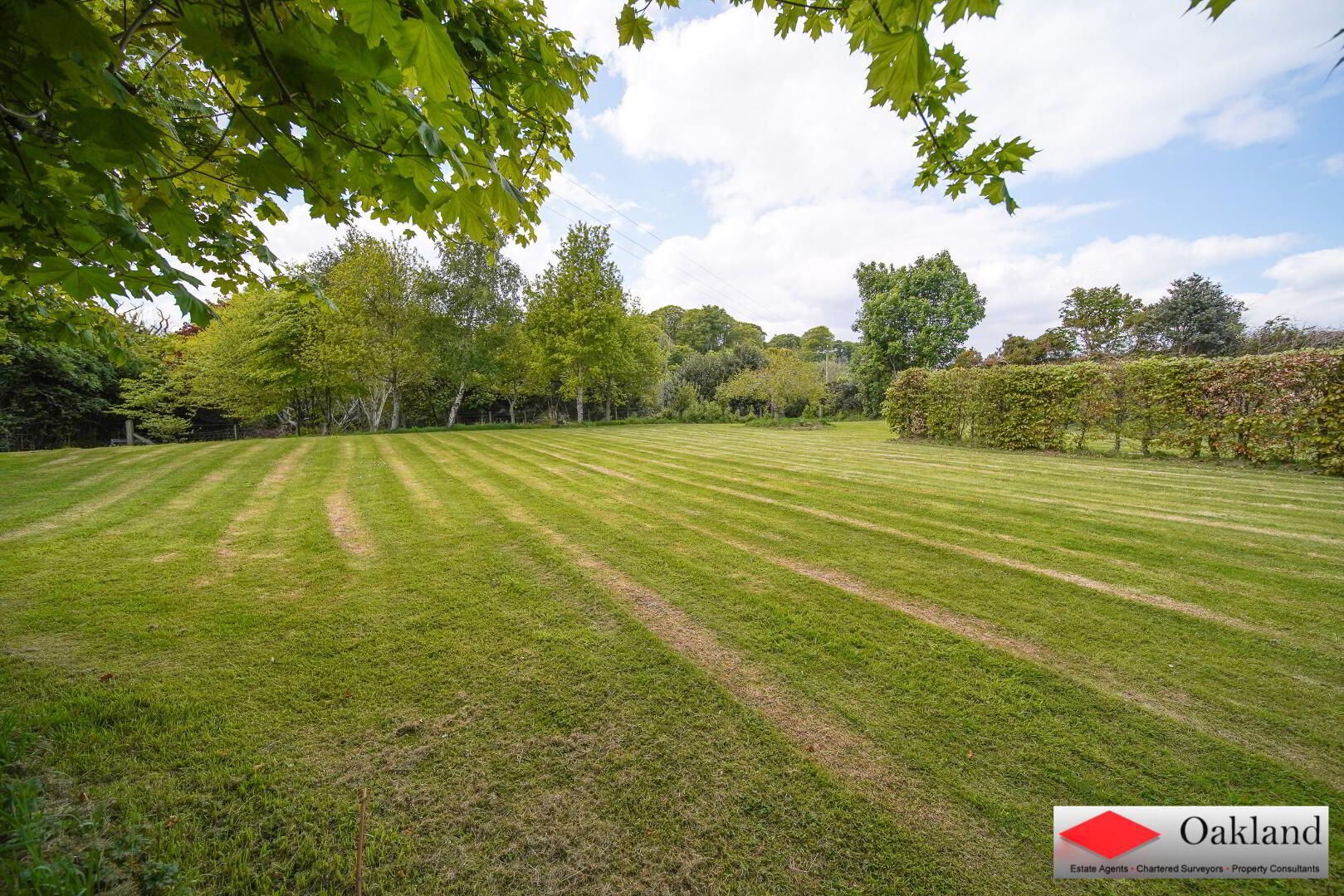 270 Culmore Road 52 of 54