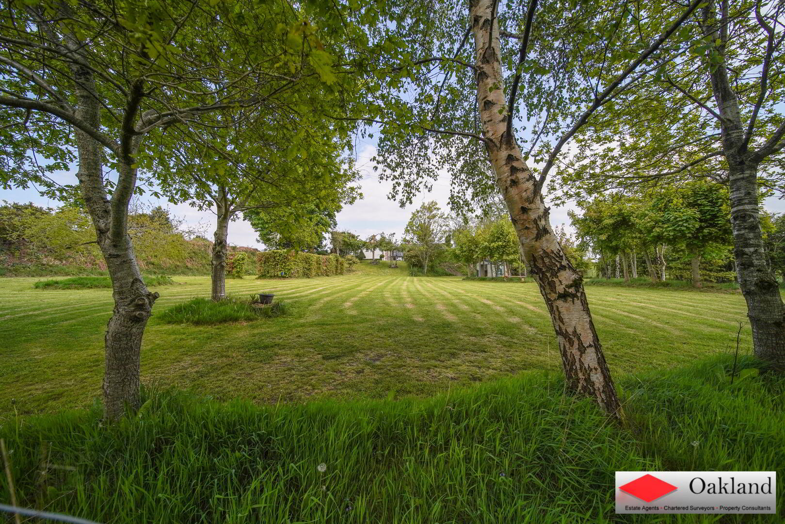 270 Culmore Road 53 of 54