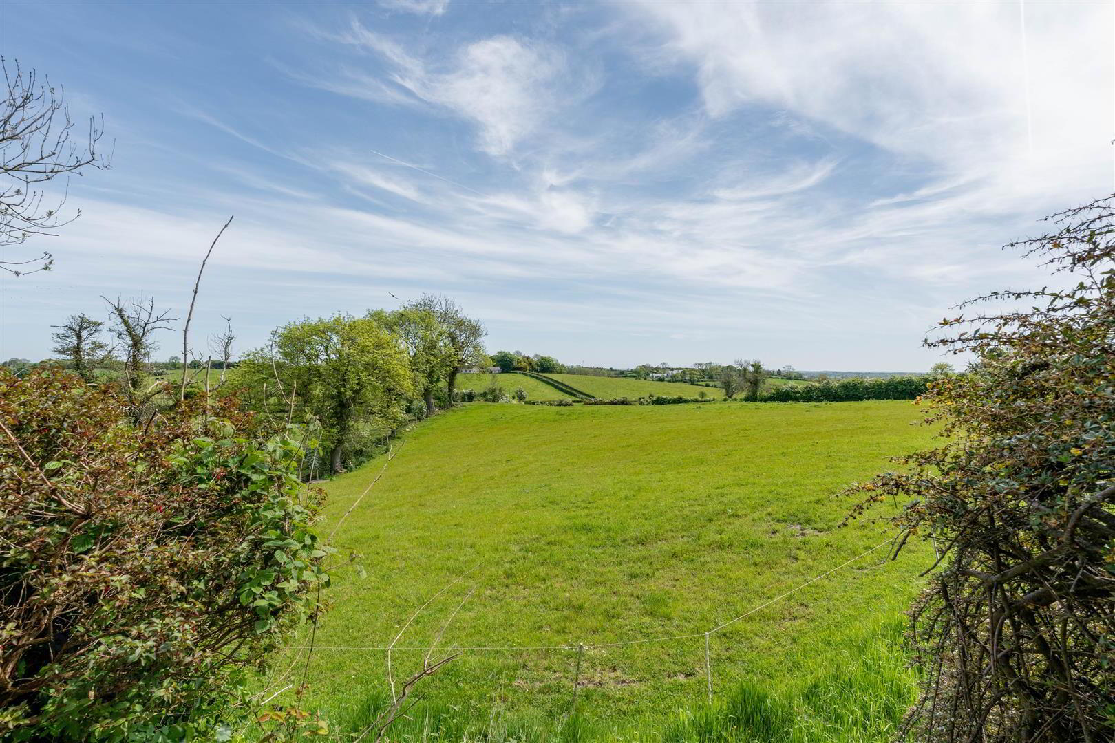 Northleigh, 141 Belfast Road 19 of 20