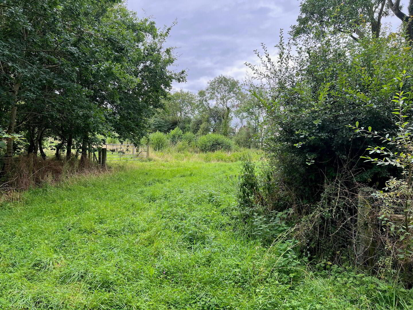 property description image