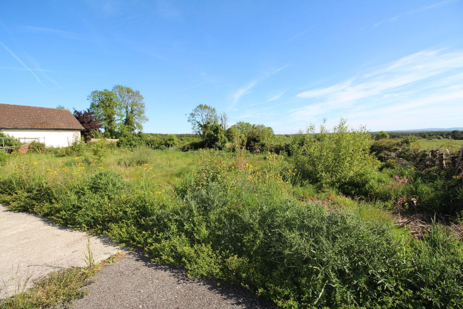 Clonmore 5 of 10