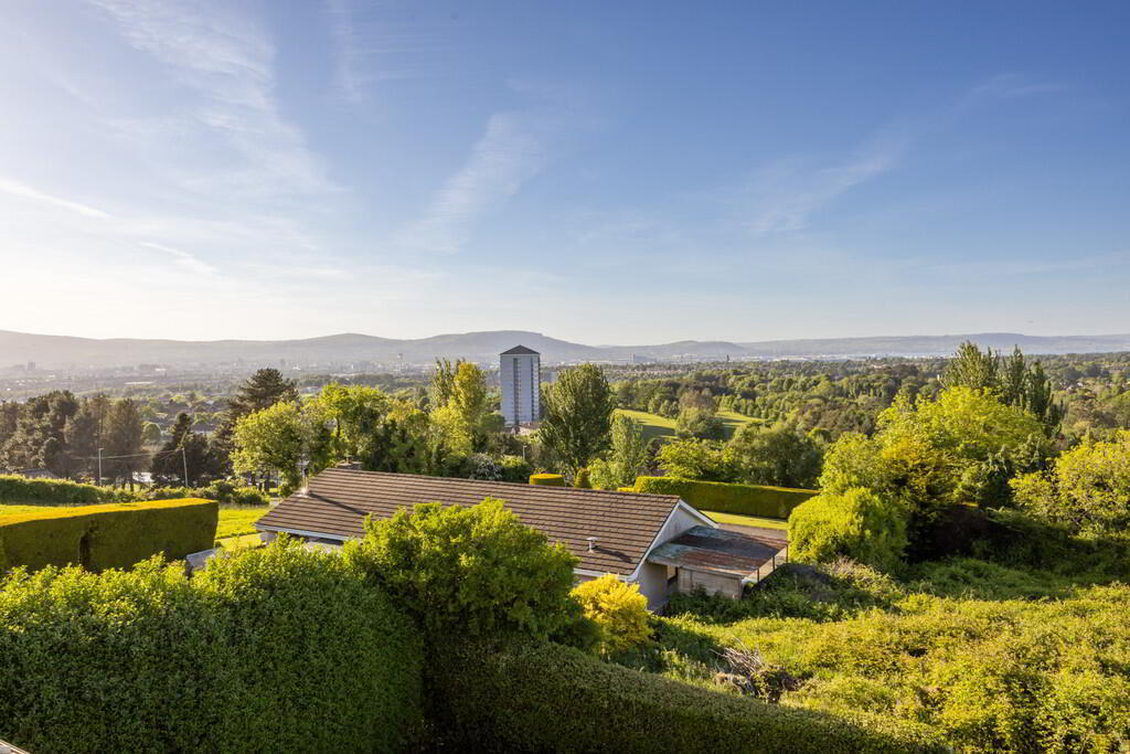 115 Lower Braniel Road 3 of 23
