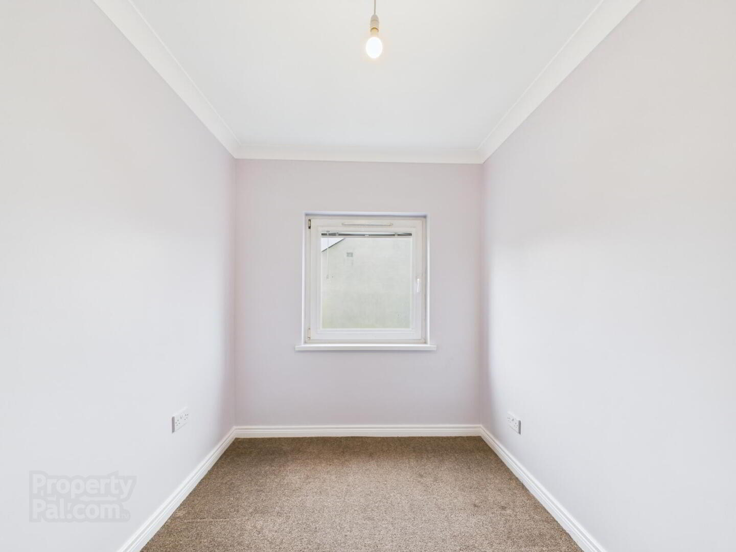36 York Park 13 of 15