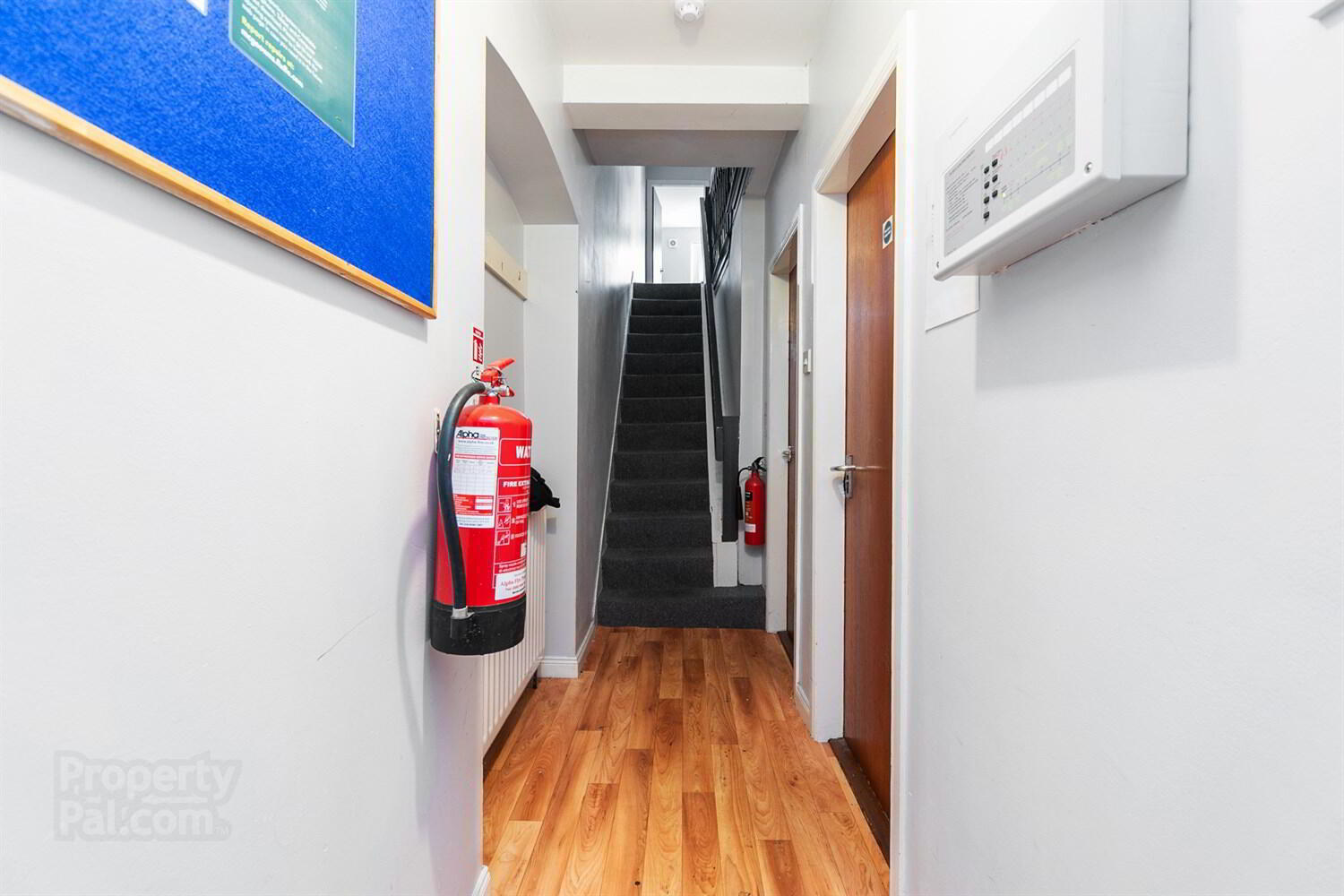 33 Landseer Street 3 of 14