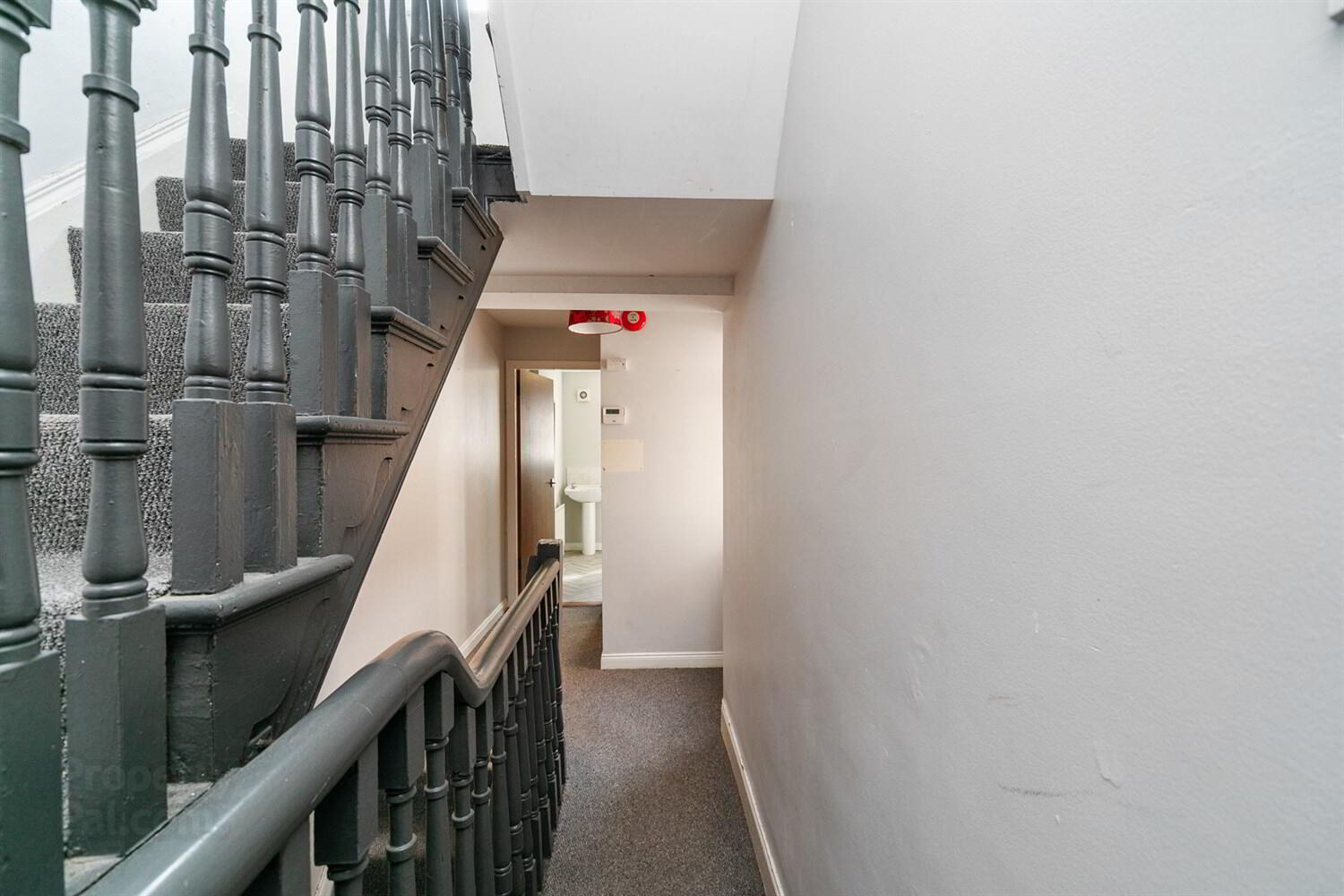 33 Landseer Street 9 of 14