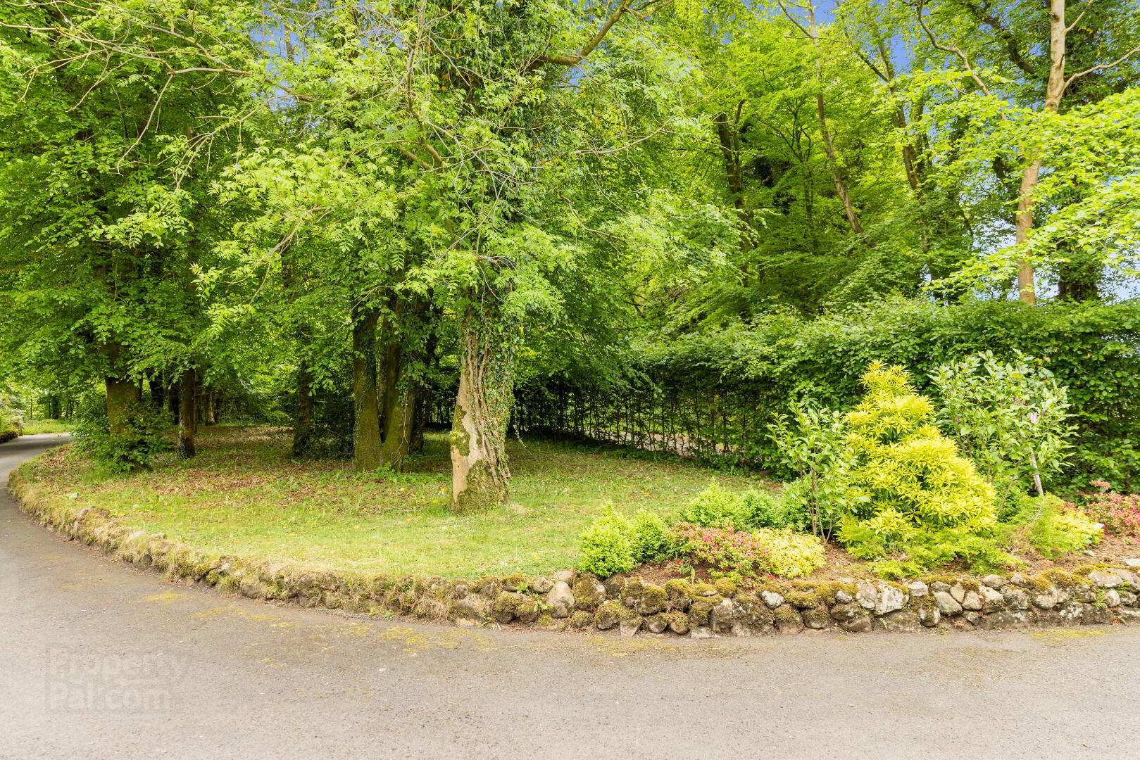 28 Clonetrace Road 51 of 58