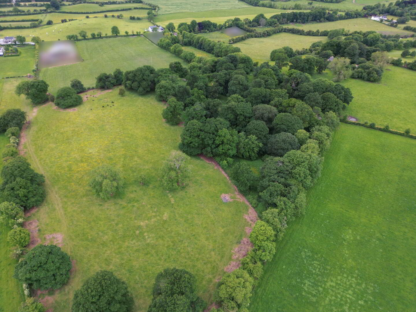 13 ACRES Rathcore Glebe 1 of 9