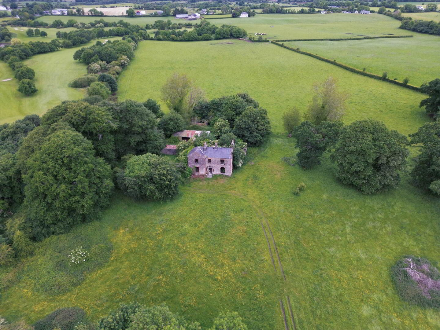 13 ACRES Rathcore Glebe 8 of 9