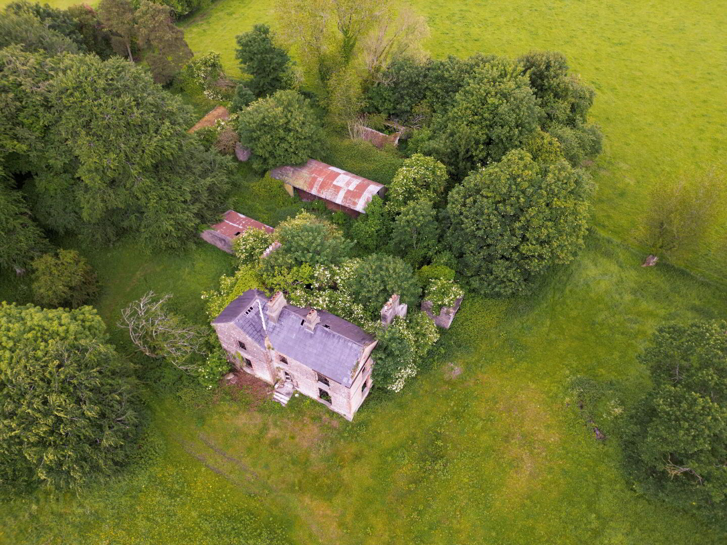 13 ACRES Rathcore Glebe 9 of 9