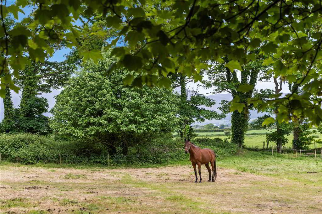 Murlough Country House, 25 Keel Point 43 of 46