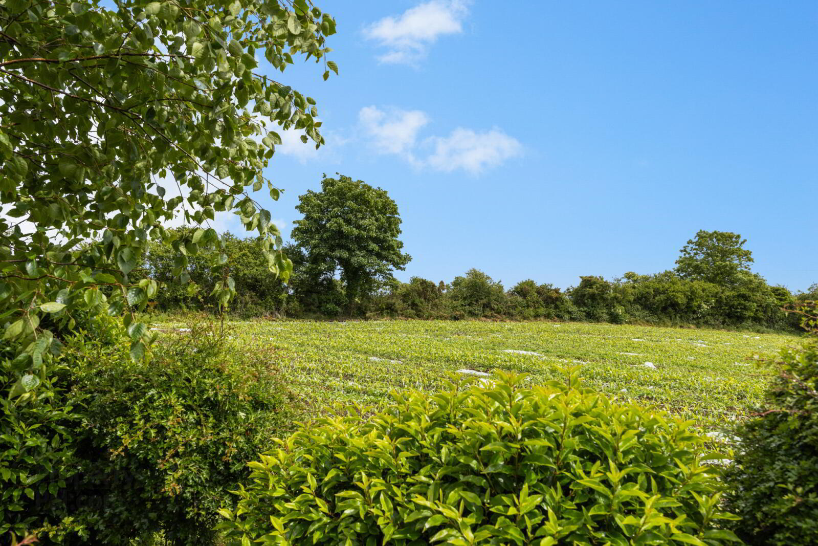 10 Governors Gate Meadow 19 of 20