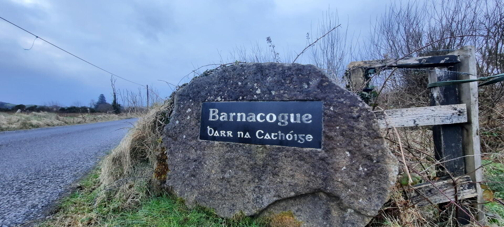 Barnacogue 32 of 39