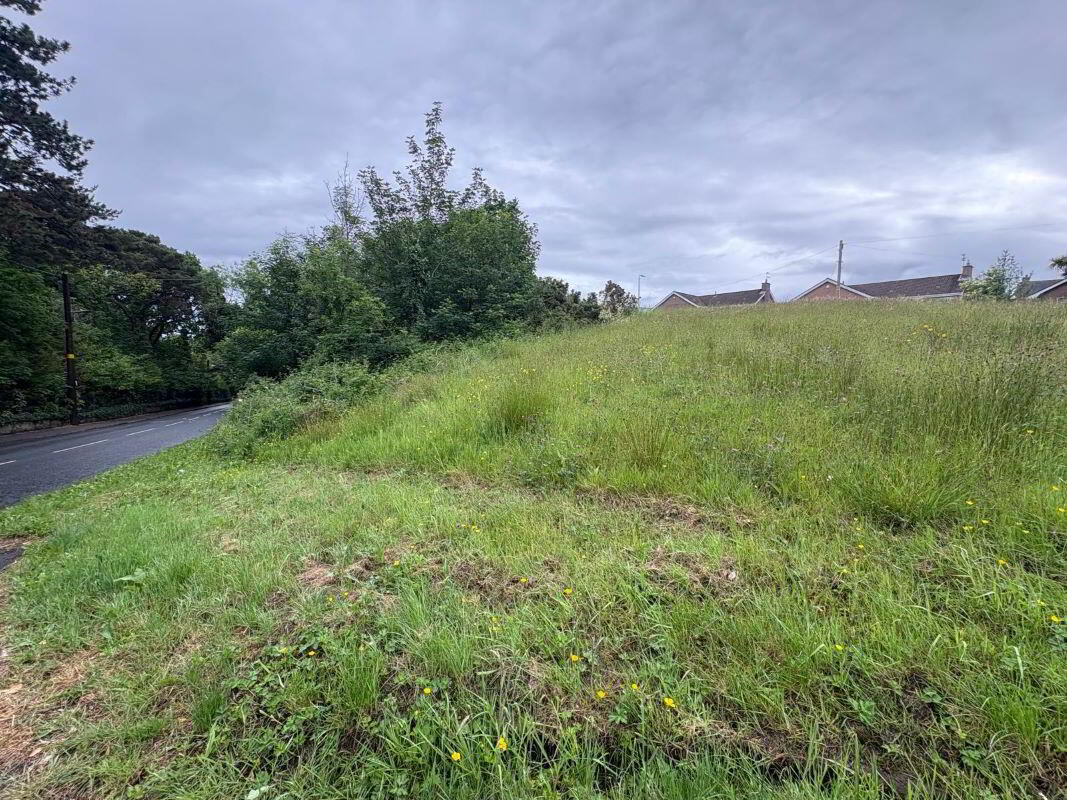 Lands, At Saratoga Avenue 1 of 12