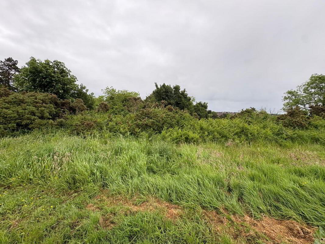 Lands, At Saratoga Avenue 5 of 12