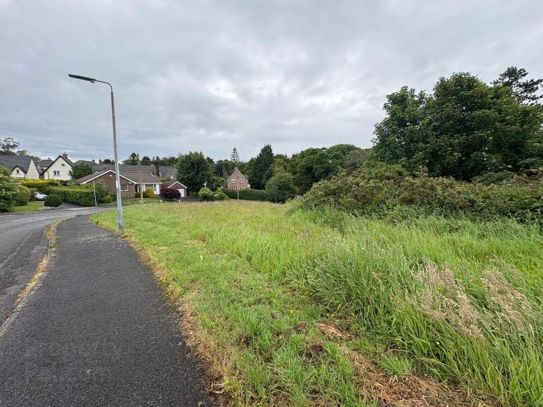 Lands, At Saratoga Avenue 7 of 12