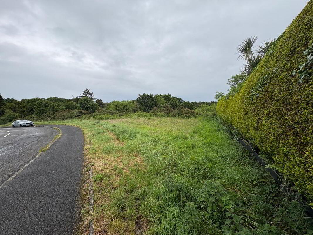 Lands, At Saratoga Avenue 12 of 12