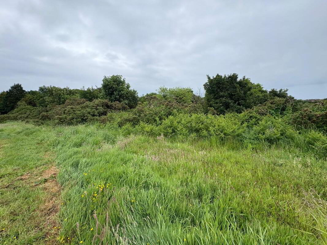 Lands, At Saratoga Avenue 9 of 12