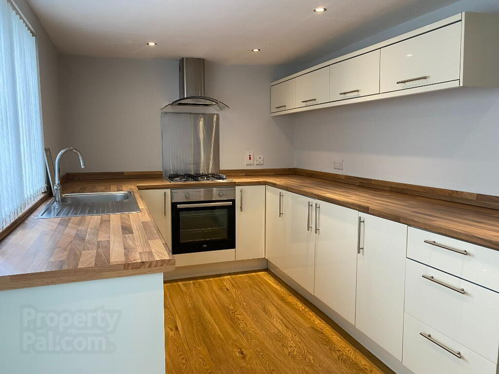 583 Ormeau Road 7 of 21
