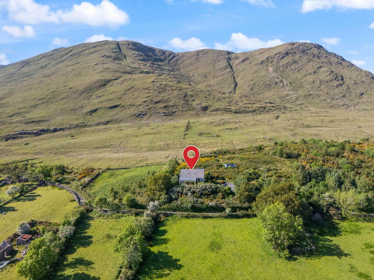 property description image
