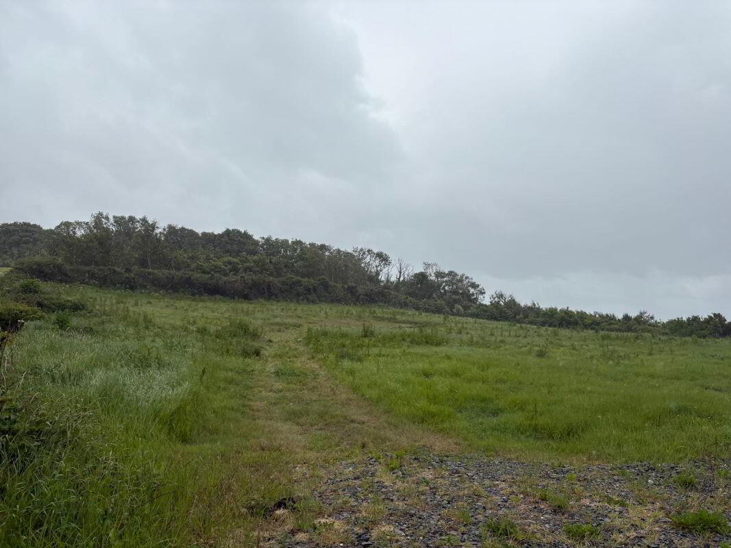 property description image
