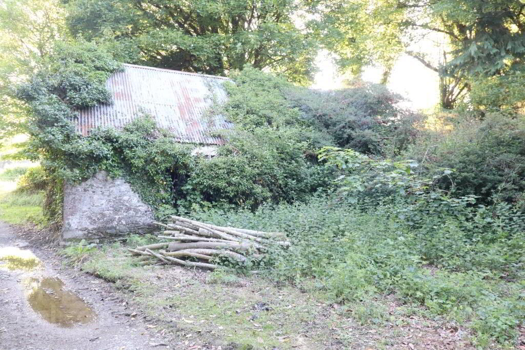 Ballydonoghue 2 of 18