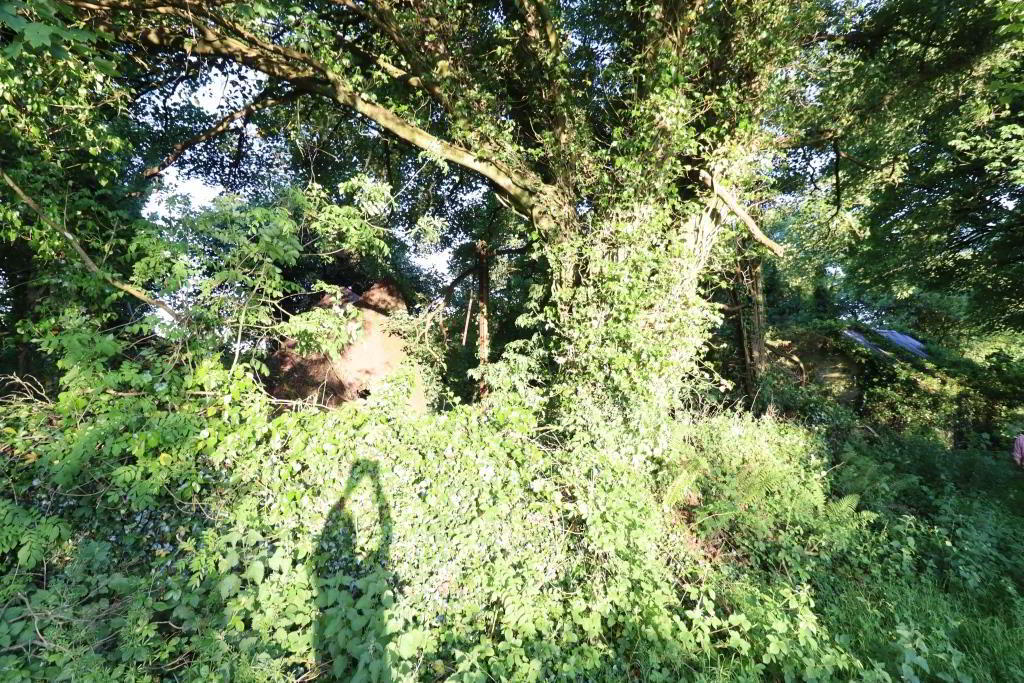 Ballydonoghue 9 of 18