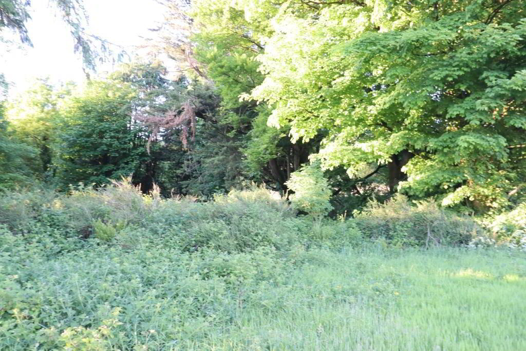 Ballydonoghue 5 of 18