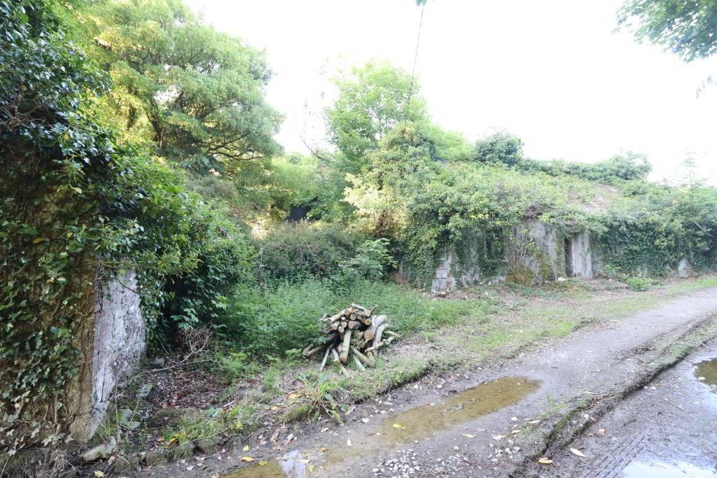 Ballydonoghue 13 of 18