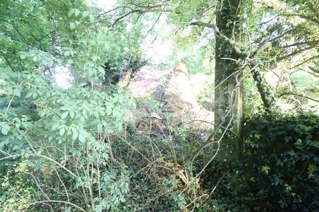 Ballydonoghue 12 of 18