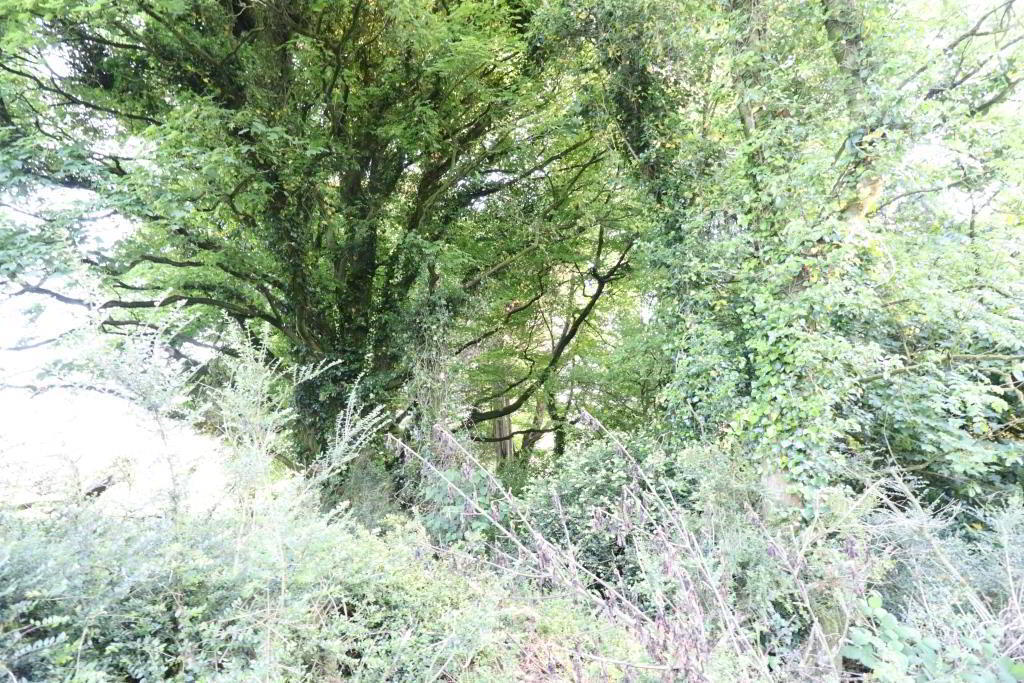 Ballydonoghue 15 of 18