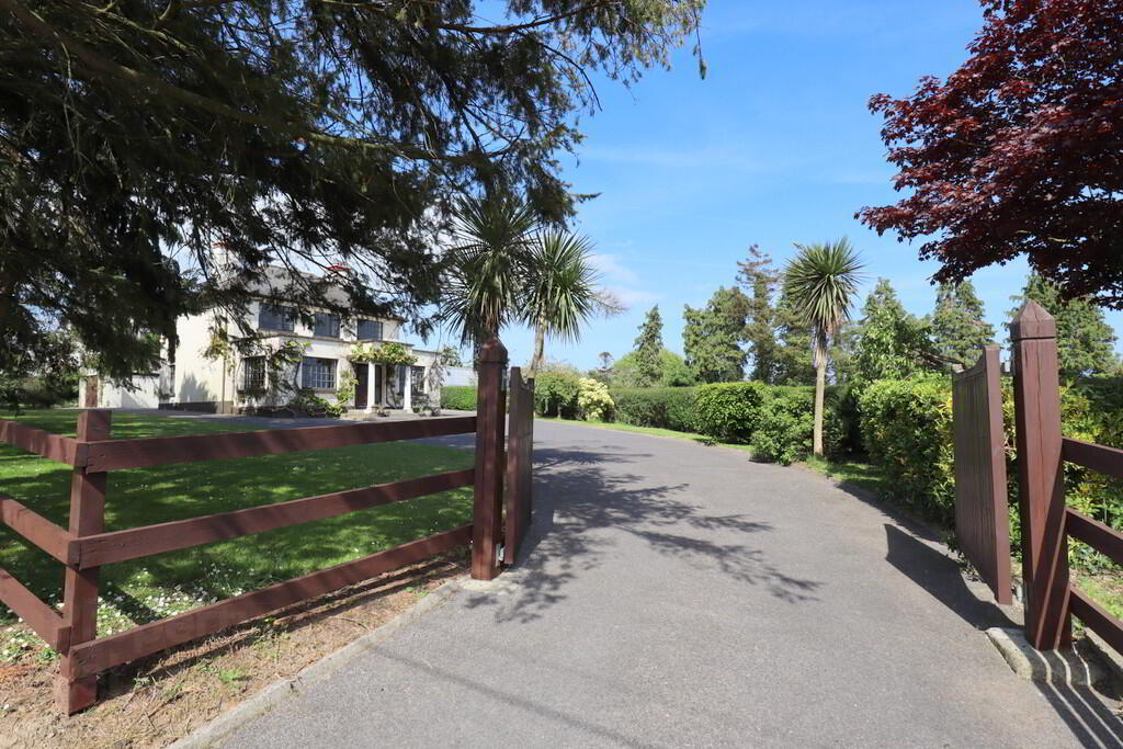 Irishtown 22 of 25