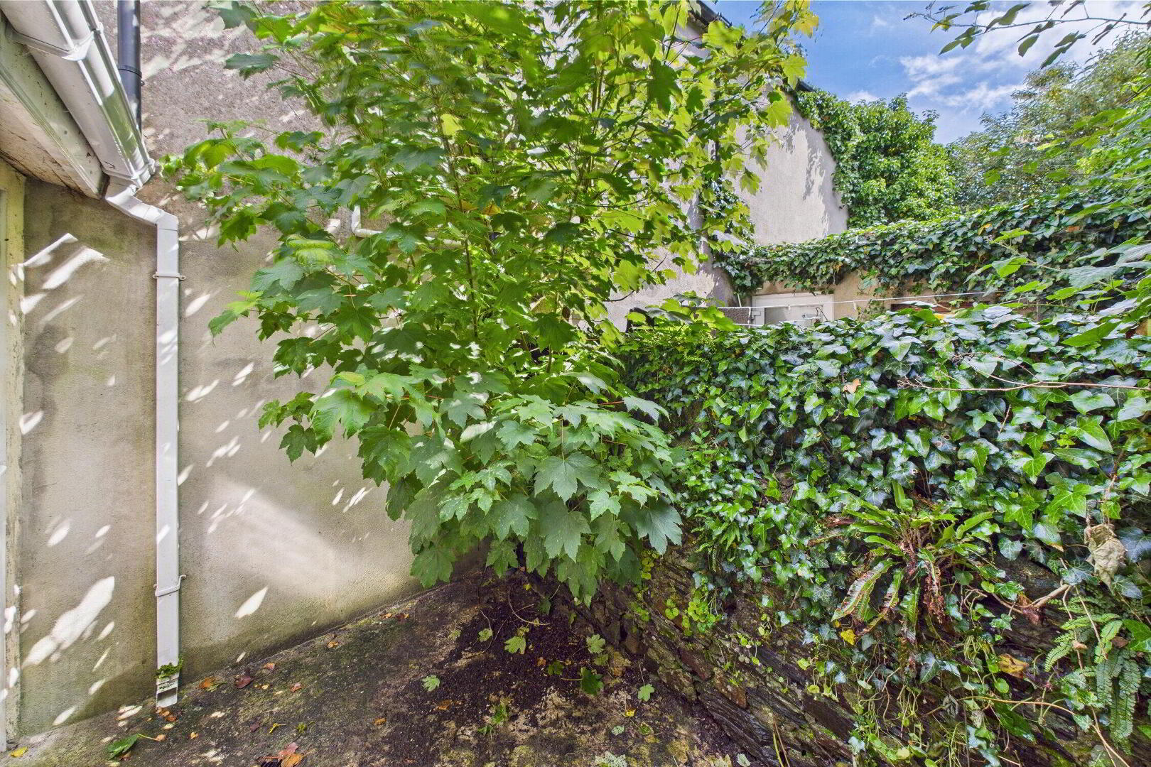 5 Henry Street Terrace 7 of 7