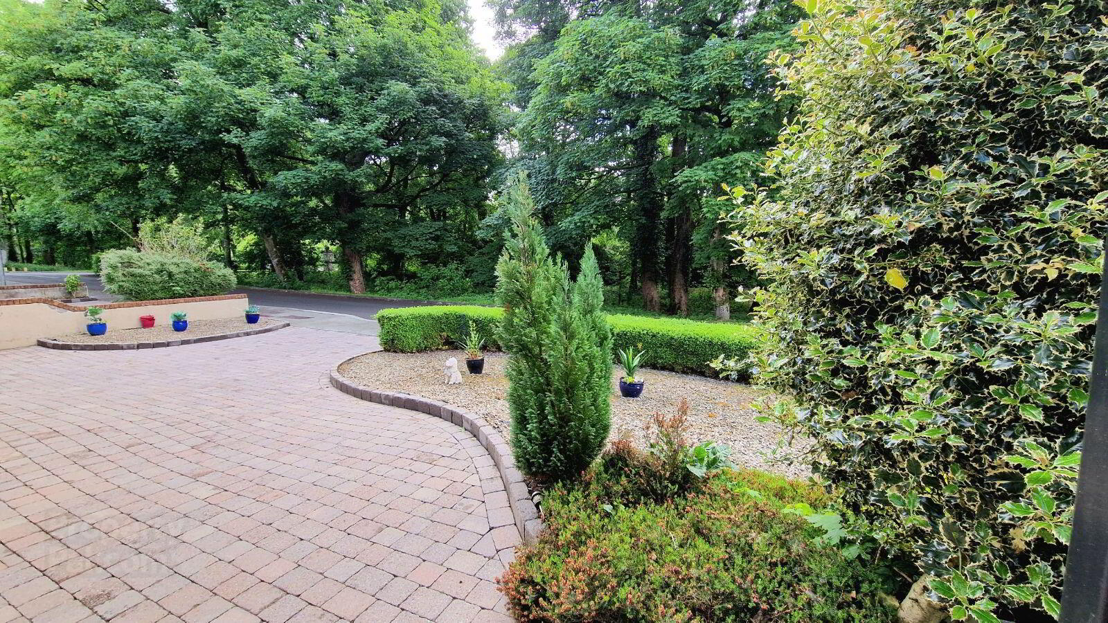 8 Loreto Wood 3 of 34