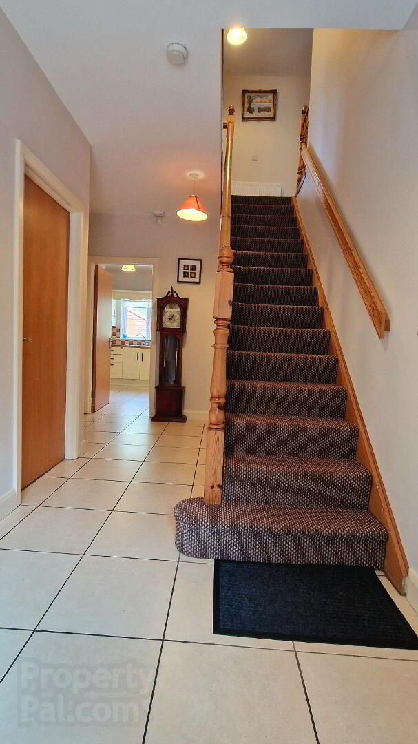 8 Loreto Wood 4 of 34