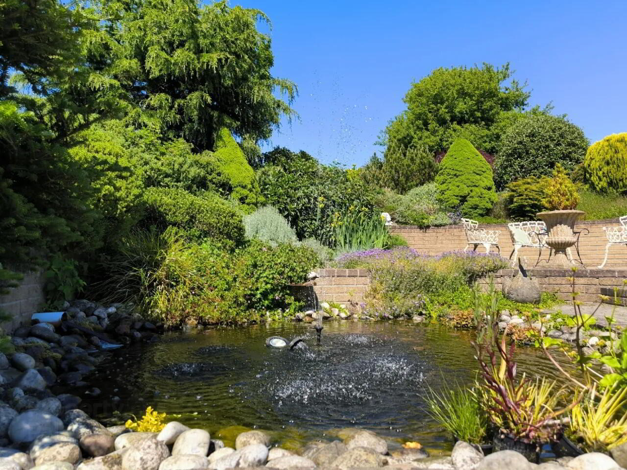 The Meadows, Drumguill 26 of 42