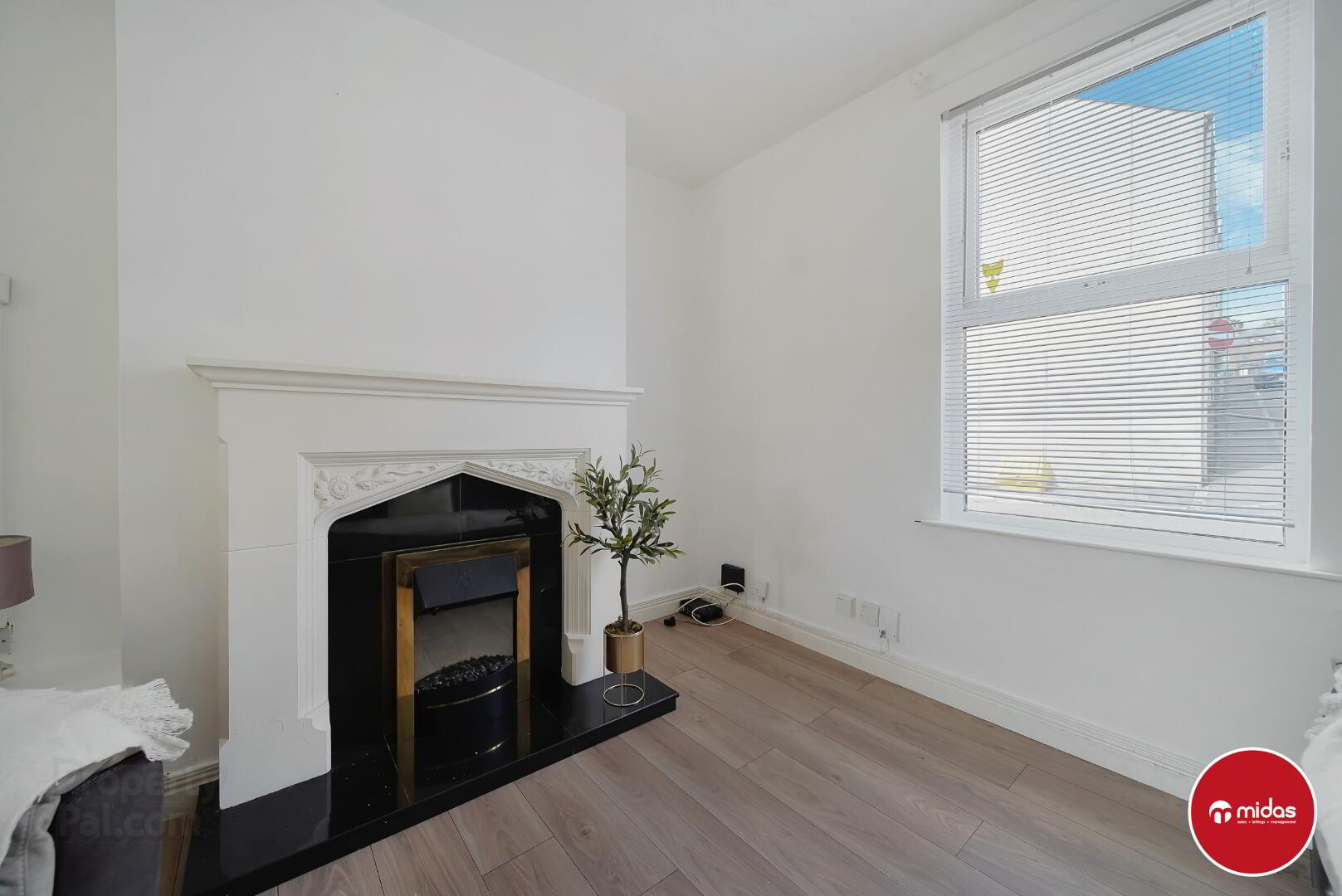32 Ewing Street 3 of 14