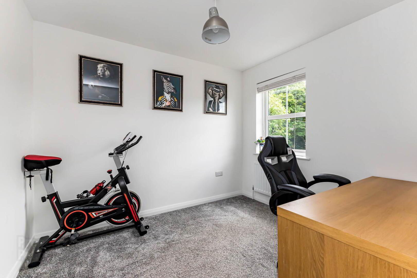9 Ayrshire Mews 15 of 20