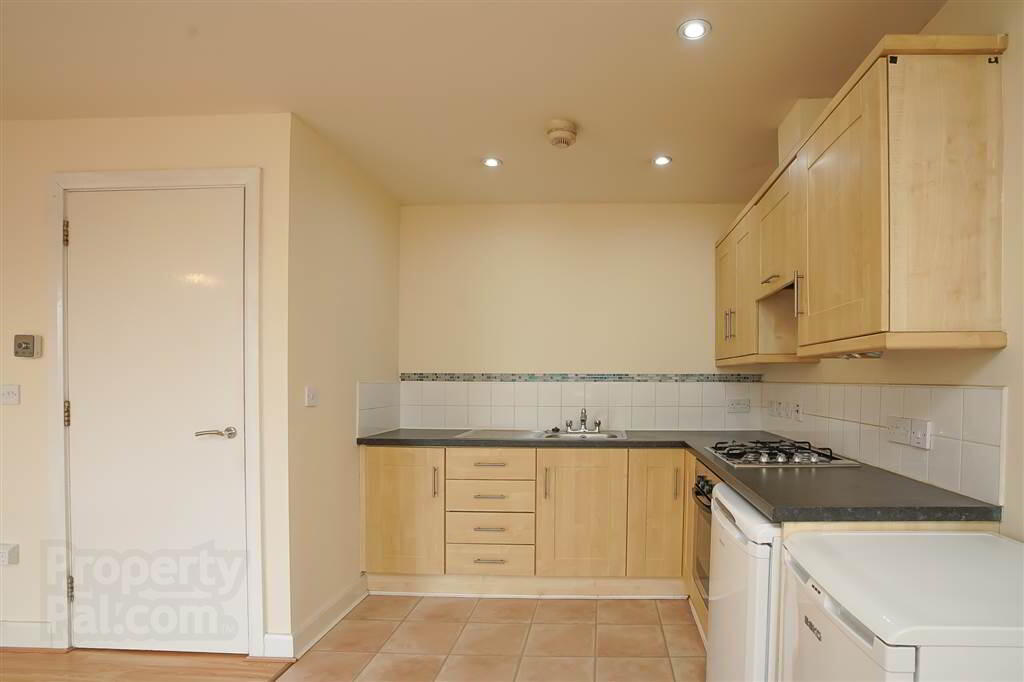 709 College Central, 4 College Avenue 8 of 16