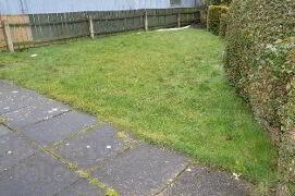Wolf Island Terrace 10 of 10