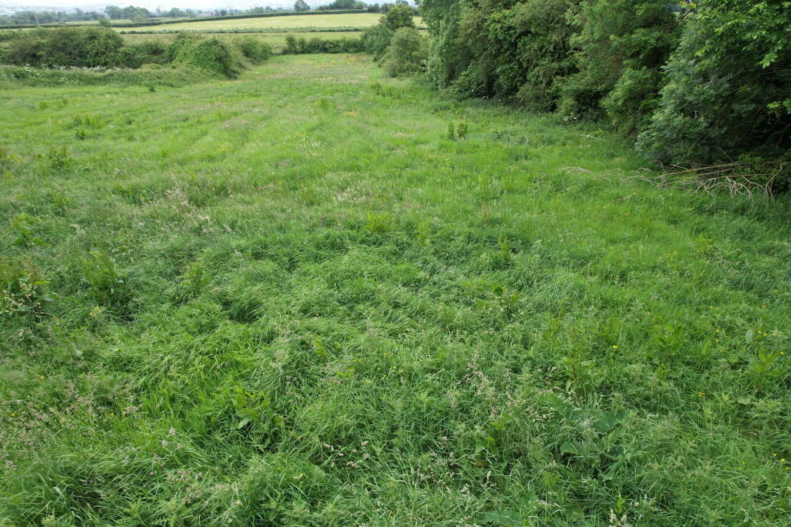 property description image