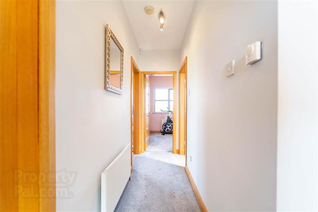 2a Balloo Road 19 of 34