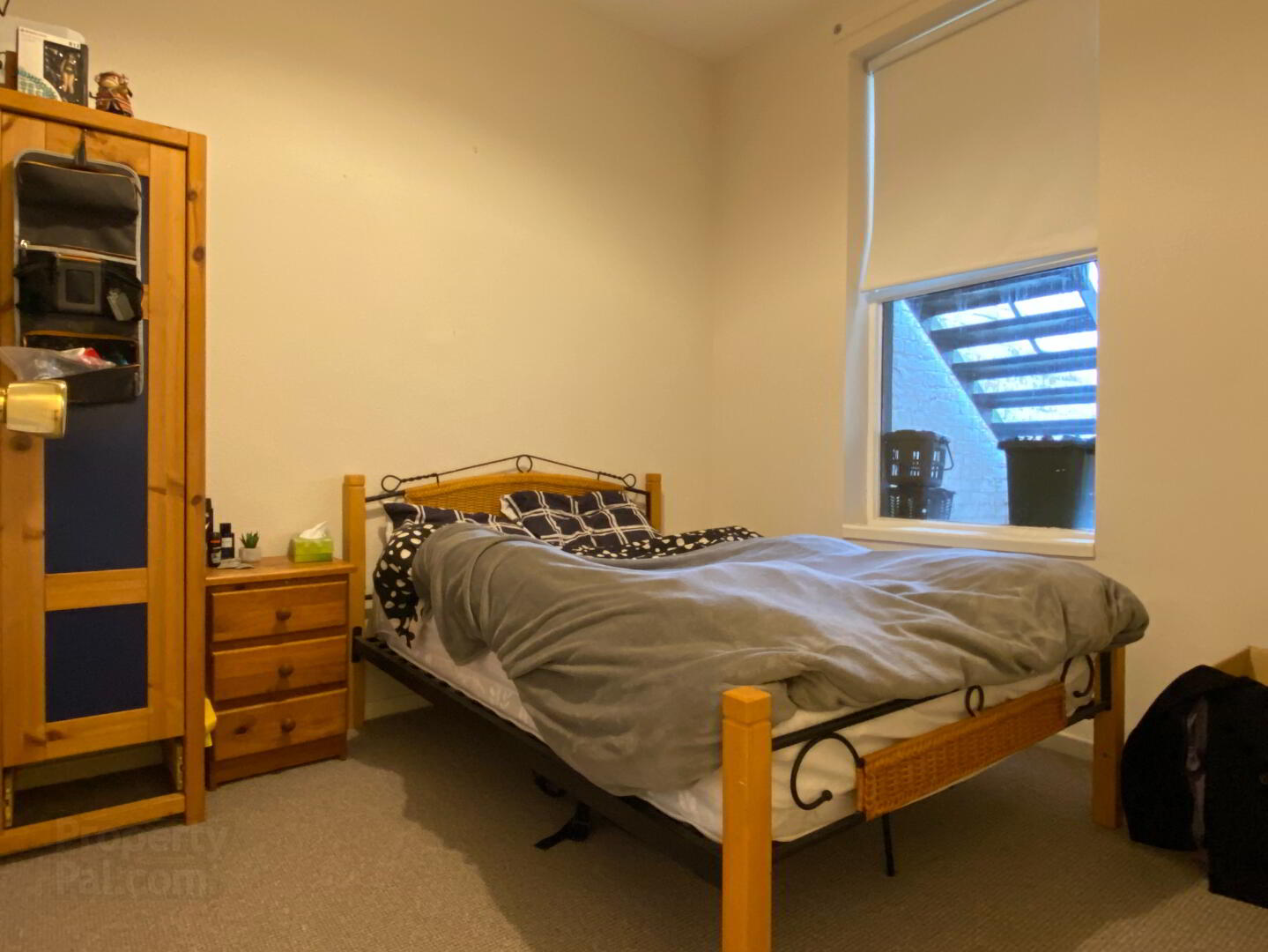 Apt 2, 116 Eglantine Avenue 4 of 9