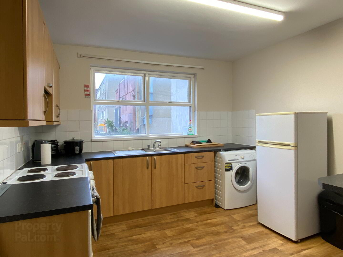 Apt 2, 116 Eglantine Avenue 6 of 9